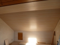 Deckenpanelen